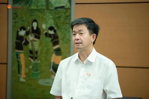 ĐBQH Lê Quang Tùng (An Giang) phát biểu