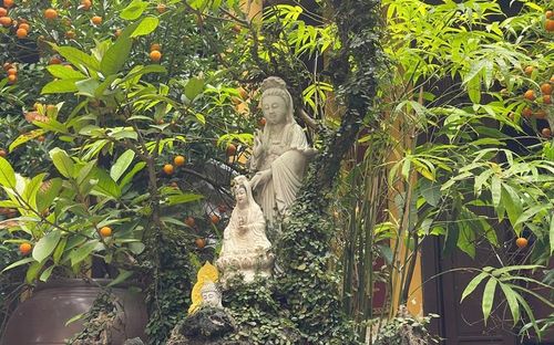 Hình mang tính minh họa. Ảnh: Thường Nguyên