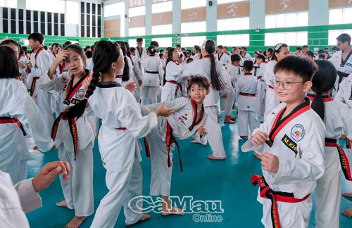 Thành viên Hội đồng Kỹ thuật Liên đoàn Taekwondo Việt Nam hướng dẫn các kỹ thuật mới.