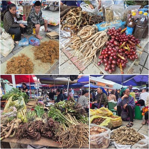 Các mặt hàng thảo quả được lấy từ cỏ cây, thiên nhiên.