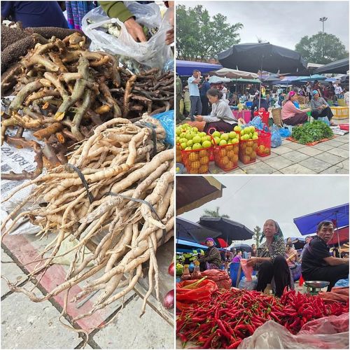 Khu nông sản là nơi du khách có thể cảm nhận rõ nét nhất sự phong phú, trù phú của đất trời Tây Bắc