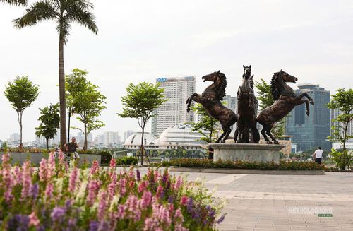 Không gian cây xanh bên biểu tượng ngựa tại công viên. Ảnh: T. Anh