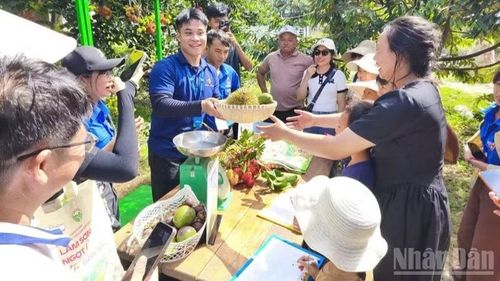 Sản phẩm các nhà vườn ở Lâm Sơn đã liên kết với các tour, tuyến đang mở ra một động lực tăng trưởng mới cho địa phương.