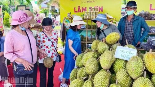 Người dân đang dần chuyển từ tư duy “làm ra nông sản” sang “làm kinh tế từ nông nghiệp”, vì thế mục tiêu lớn nhất không phải là “được mùa”, mà hướng tới sản phẩm “được giá trị” cao.