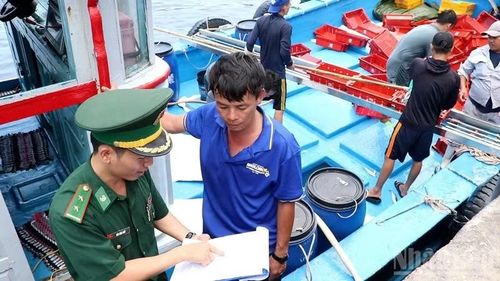 Lực lượng chức năng tăng cường thanh tra, kiểm tra, điều tra và xử lý các hành vi gian lận trong xác nhận nguồn gốc thủy sản khai thác.