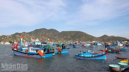 Việc xử lý các tàu cá không báo cáo vị trí khi neo đậu hoặc ngừng khai thác dài ngày cũng còn nhiều vướng mắc.