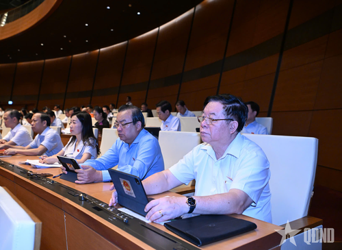 Đại tướng Nguyễn Trọng Nghĩa, Ủy viên Bộ Chính trị, Bí thư Trung ương Đảng, Ủy viên Thường vụ Quân ủy Trung ương, Chủ nhiệm Tổng cục Chính trị và đại biểu Quốc hội Đoàn Tây Ninh tại phiên họp. Ảnh: TRỌNG HẢI