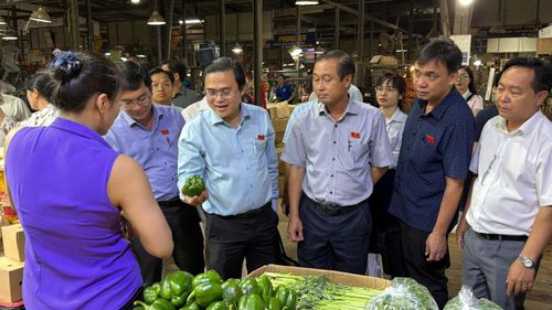  Đồng chí Cao Thanh Bình, Trưởng Ban Văn hóa - xã hội, HĐND TPHCM, Phó trưởng đoàn giám sát trao đổi với tiểu thương chợ đầu mối Bình Điền. Ảnh: HOÀNG HÙNG. 