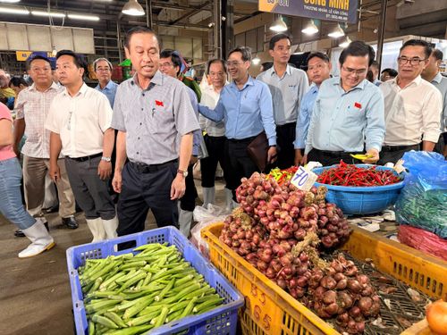  Thường trực HĐND TPHCM khảo sát ATTP tại chợ đầu mối Bình Điền tối 4-8. Ảnh: HOÀNG HÙNG. 