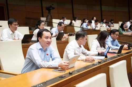 Các đại biểu Quốc hội tham gia thảo luận.
