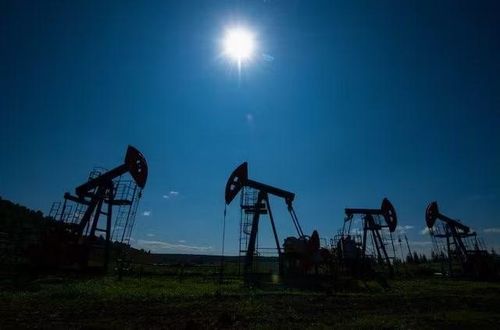 Giá dầu phục hồi nhẹ. Ảnh: Reuters.