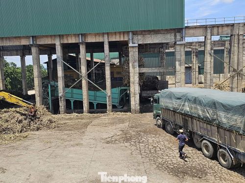 Khu vực sản xuất của Công ty Cổ phần Mía đường 333.