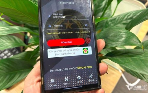 Hướng dẫn hộ kinh doanh nộp thuế trên ứng dụng eTax Mobile. Ảnh: Nguyễn Lê
