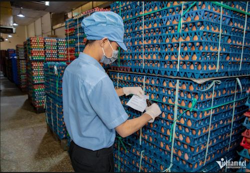 Giá trứng được dự báo tăng khi cung - cầu trong nước dần cân bằng. Ảnh: Chí Thiện