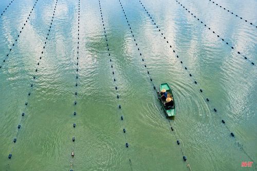 Theo ông Hồ Phi Thủy - Giám đốc Công ty Ngọc trai Quê Choa, thời gian tới, doanh nghiệp sẽ tiếp tục theo dõi sự phát triển của trai, chất lượng sản phẩm ngọc sau chế tác; quan tâm, đầu tư mở rộng diện tích, qua đó tạo thêm việc làm ổn định cho người dân tại địa phương.