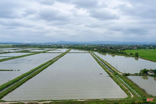 Khu vực dưới đập Yên Vũ (thôn Chi Lưu, xã Đông Kinh) có diện tích khoảng 120 ha. Sau khi khảo sát, đánh giá điều kiện nguồn nước và môi trường tự nhiên, từ tháng 7/2024, ông Hồ Phi Thủy - Giám đốc Công ty Ngọc trai Quê Choa đã làm thủ tục đầu tư, xây dựng hệ thống lồng bè, triển khai mô hình nuôi trai nước ngọt lấy ngọc trên hơn 70 ha mặt nước.