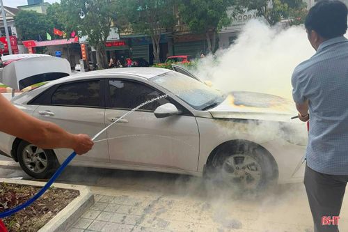Phát hiện vụ việc, người dân địa phương nhanh chóng sử dụng bình cứu hỏa và vòi nước dập lửa. Đồng thời, thông báo cho lực lượng Cảnh sát PCCC&CNCH Công an tỉnh. Thời điểm lực lượng chức năng có mặt, vụ cháy xe đã được khống chế.