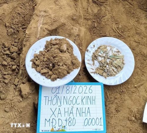 Các di vật và mẫu xương được tìm thấy tại thôn Ngọc Kinh, xã Hà Nha. (Ảnh: TTXVN phát)