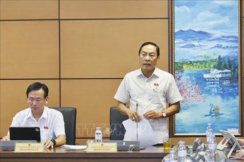 Đại biểu Quốc hội tỉnh Đồng Tháp Phạm Văn Hòa phát biểu ý kiến. Ảnh: Doãn Tấn/TTXVN