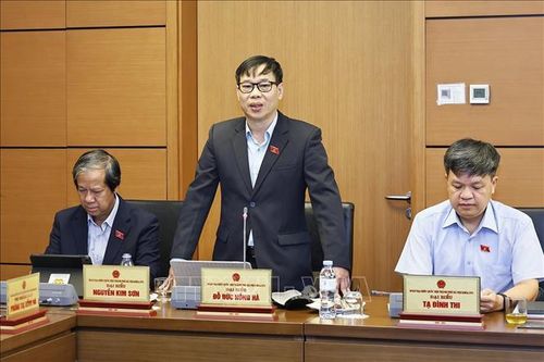 Đại biểu Quốc hội TP Hà Nội Đỗ Đức Hồng Hà phát biểu ý kiến. Ảnh: Doãn Tấn/TTXVN