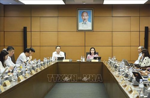 Đại biểu Quốc hội TP Hồ Chí Minh họp tại tổ. Ảnh: Doãn Tấn/TTXVN