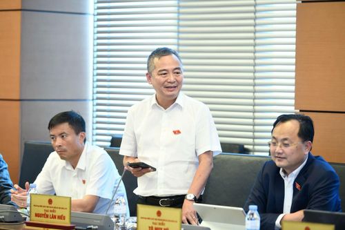 Đại biểu Nguyễn Lân Hiếu phát biểu tại đoàn TP Hà Nội.