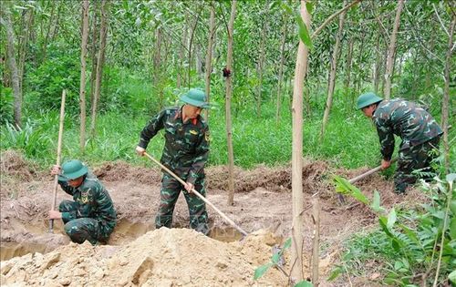 Đội 584, Đội 589 (Bộ Chỉ huy Quân sự tỉnh Quảng Trị) cùng các lực lượng liên quan tìm kiếm tại những vị trí có dấu hiệu nghi vấn. Ảnh: TTXVN phát