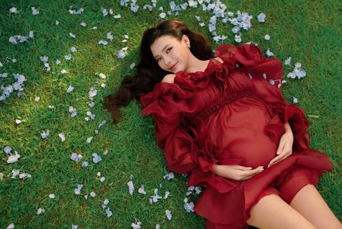 Nhiều khán giả cũng bày tỏ sự háo hức trước ngày gia đình Thúy Diễm - Lương Thế Thành chính thức đón thêm thành viên mới. (Ảnh: FBNV)