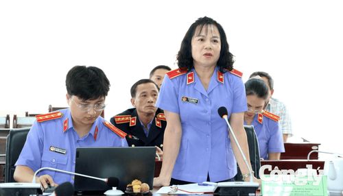 Bà Tạ Thị Hồng Hoa - Vụ trưởng Vụ Kiểm sát thi hành án dân sự (Vụ 11) phát biểu tại buổi làm việc.