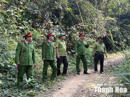 Công an xã Na Mèo thường xuyên phối hợp tuần tra kiểm soát bảo vệ động vật hoang dã.