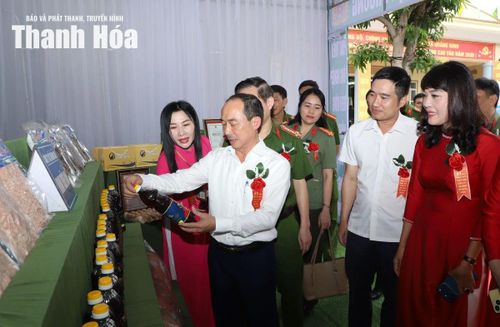 Phó Chủ tịch Thường trực HĐND tỉnh Lê Tiến Lam và đại biểu tham quan gian hàng giới thiệu sản phẩm tiêu biểu của địa phương trưng bày tại không gian ngày hội.