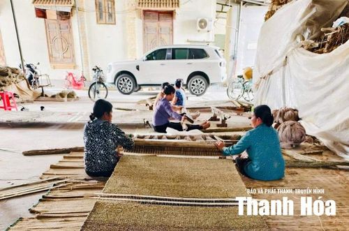Nghề chiếu cói trên vùng đất Tân Tiến hôm nay không chỉ là câu chuyện của quá khứ, mà là minh chứng cho sự thích nghi mạnh mẽ, khẳng định giá trị của những sản phẩm truyền thống được tạo nên từ bàn tay, khối óc và trân trọng nghề xưa của mỗi người dân địa phương.