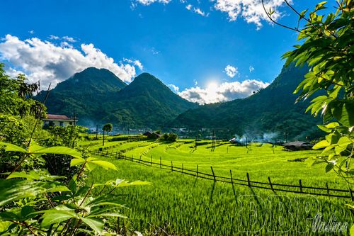 Những thửa ruộng bậc thang tại xã Sín Chải.