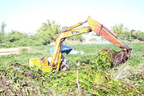 Công nhân, máy móc vớt bèo xung quanh đập Lạc Trường thuộc nhánh sông Cát (phường Quy Nhơn Đông). Ảnh: T.Lợi