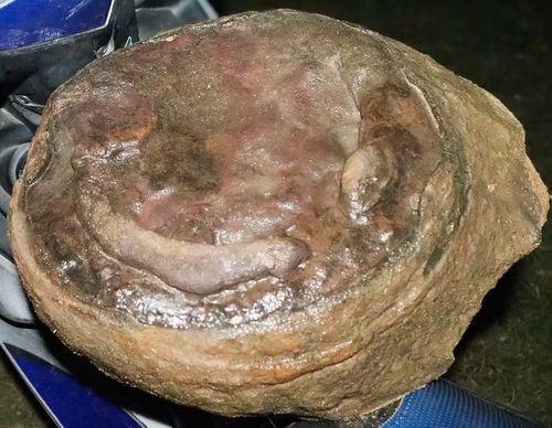  Cận cảnh bề mặt một vật thể lộ ra bên mép nước. Ảnh: H.N 
