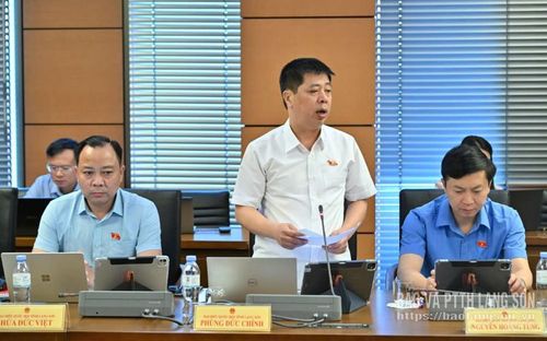 Đại biểu Phùng Đức Chính, Đoàn ĐBQH tỉnh phát biểu thảo luận ở tổ