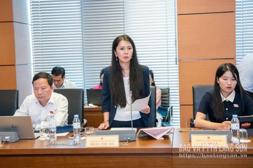 Đại biểu Đoàn Thu Hà, Phó Bí thư Tỉnh ủy, Trưởng Đoàn ĐBQH tỉnh phát biểu thảo luận ở tổ