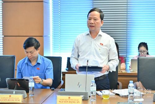 Đại biểu Nguyễn Đặng Ân, Phó Trưởng Đoàn chuyên trách Đoàn ĐBQH tỉnh phát biểu thảo luận ở tổ