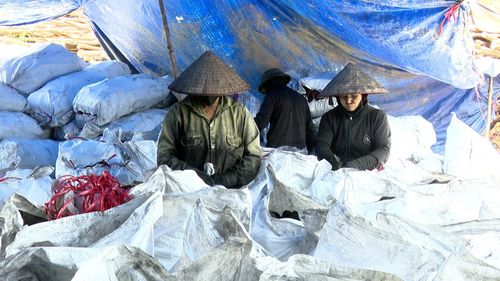 Sản xuất than củi tạo ra việc làm cho nhiều lao động địa phương.