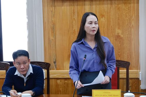 Bà Nguyễn Thị Bích Ngọc, Phó Giám đốc Sở Văn hóa, Thể thao và Du lịch phát biểu tại buổi làm việc về Dự án Trung tâm Văn hóa Nghệ thuật tỉnh