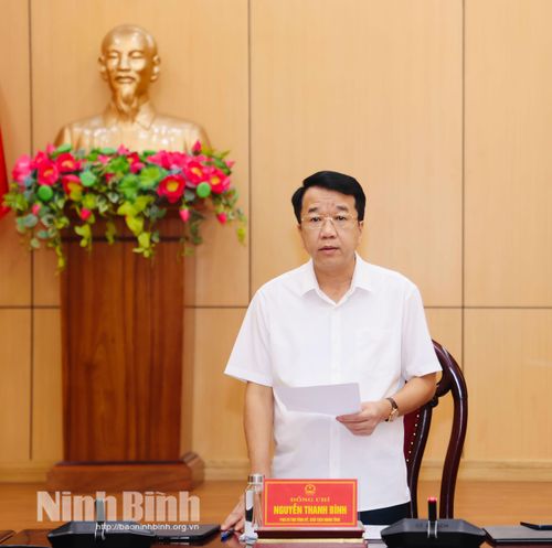 Đồng chí Nguyễn Thanh Bình, Phó Bí thư Tỉnh ủy, Chủ tịch UBND tỉnh phát biểu kết luận phiên họp.