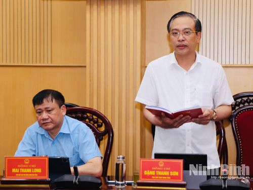 Đồng chí Đặng Thanh Sơn, Ủy viên Ban Thường vụ Tỉnh ủy, Phó Chủ tịch UBND tỉnh phát biểu tại phiên họp.