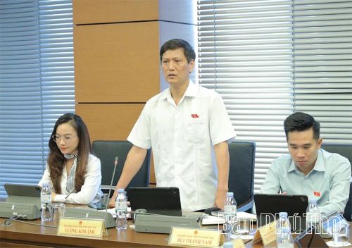 Đại biểu Quốc hội tỉnh Phú Thọ Vương Kim Ánh thảo luận tại tổ.
