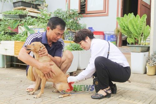 Cán bộ thú y phường Tô Hiệu tiêm vắc xin phòng dại cho vật nuôi của hộ gia đình tại tổ 1.