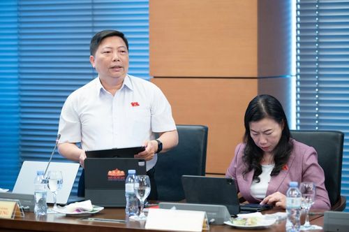 Đại biểu Nguyễn Vũ Trung (đoàn TP. Hồ Chí Minh) phát biểu.