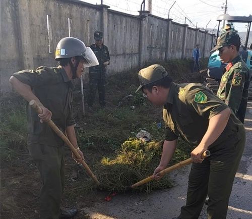 UBND TP Đà Nẵng rất chú trọng xây dựng nếp sống văn minh đô thị