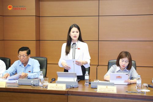 ĐBQH Vương Thị Hương (Tuyên Quang) phát biểu. Ảnh: Đắc Trường