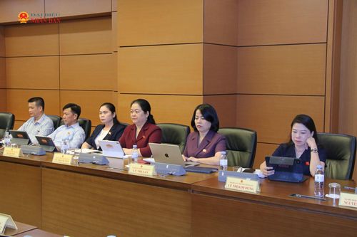 Các đại biểu tham dự thảo luận tổ. Ảnh: Đắc Trường