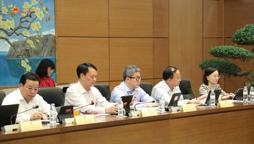 Các ĐBQH dự phiên thảo luận