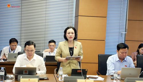 ĐBQH Trần Thị Hồng Thanh (Ninh Bình) phát biểu